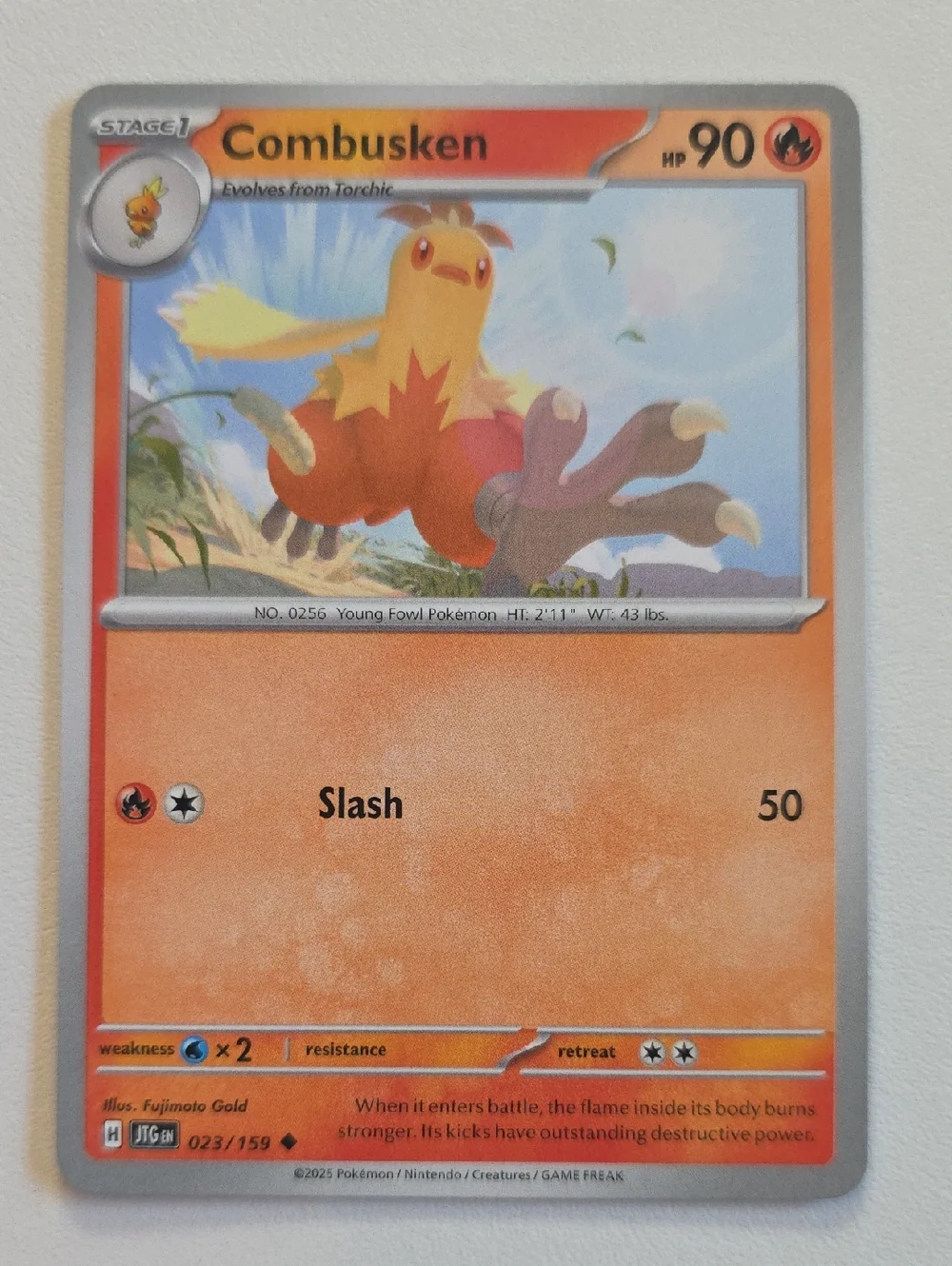 Pokemon Torchic, Combusken, Blaziken V Card